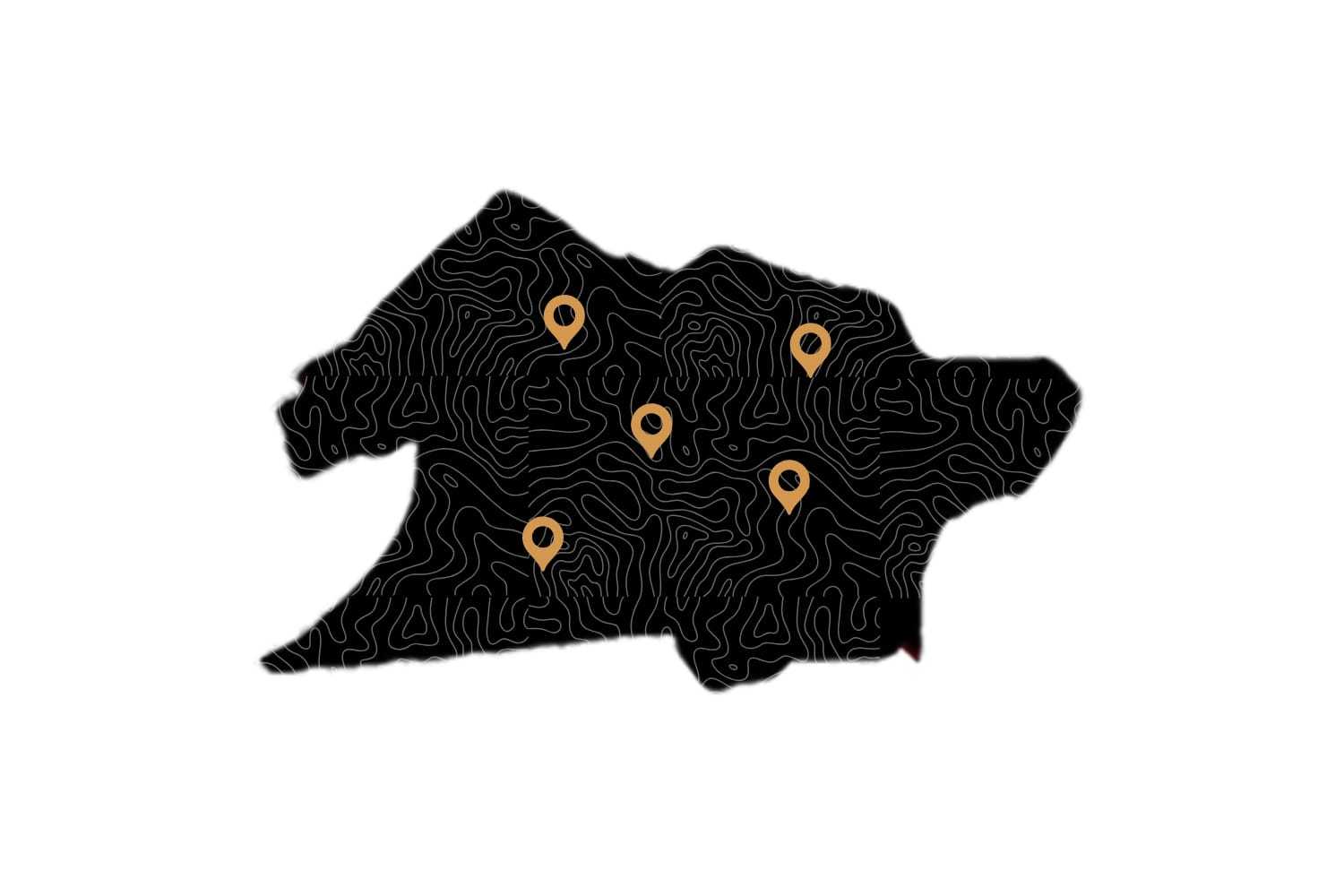 Map silhouette with contour lines and five orange location pins.