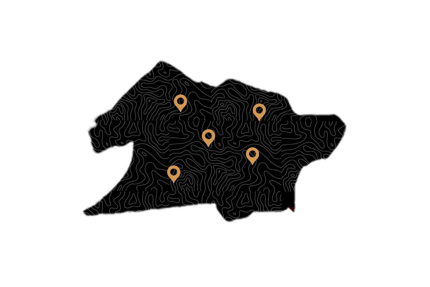 Map silhouette with contour lines and five orange location pins.